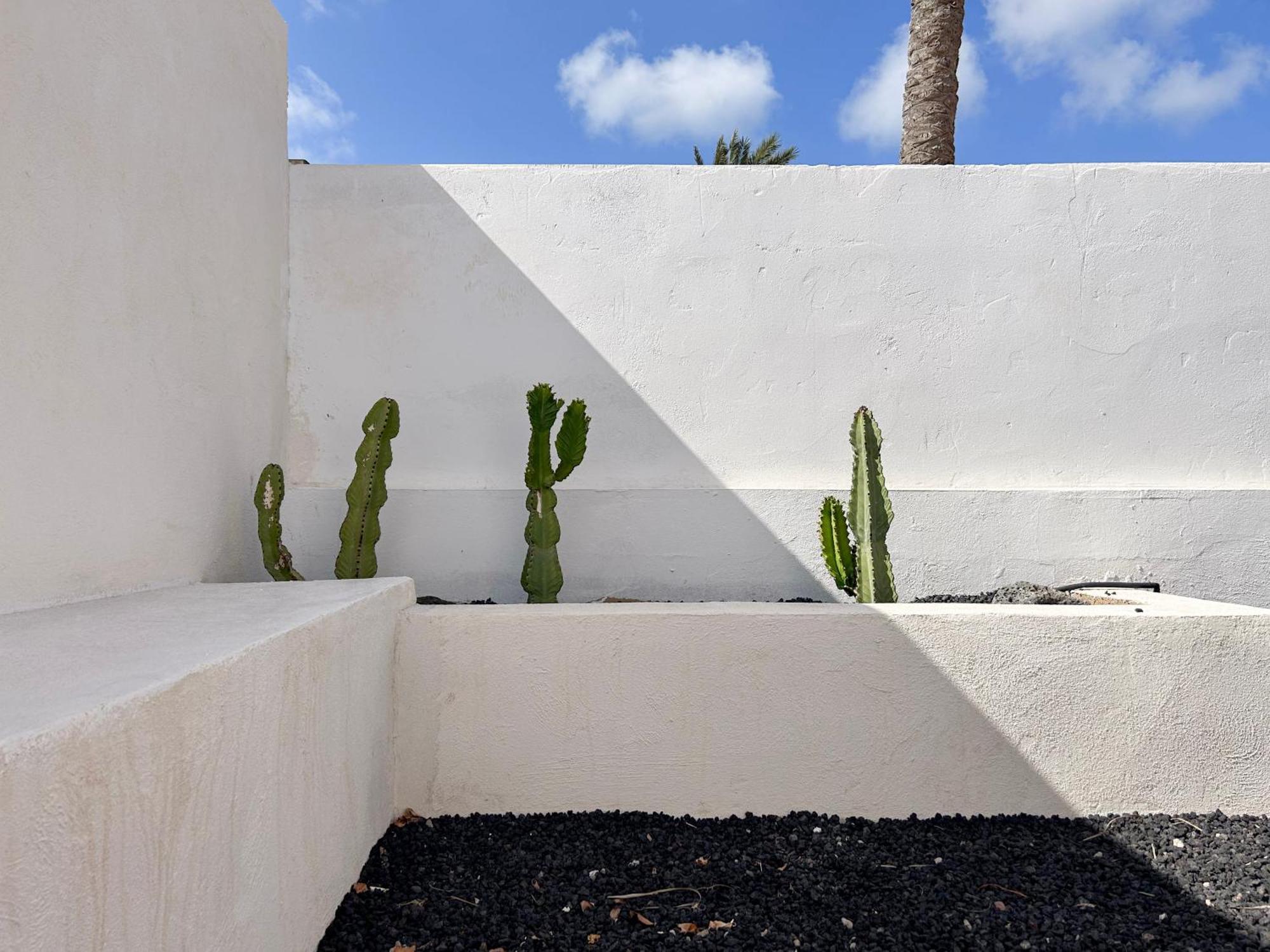 House Boho Palm With Private Heated Pool And Garden, 3 Bedrooms, Wi-Fi Corralejo Dış mekan fotoğraf
